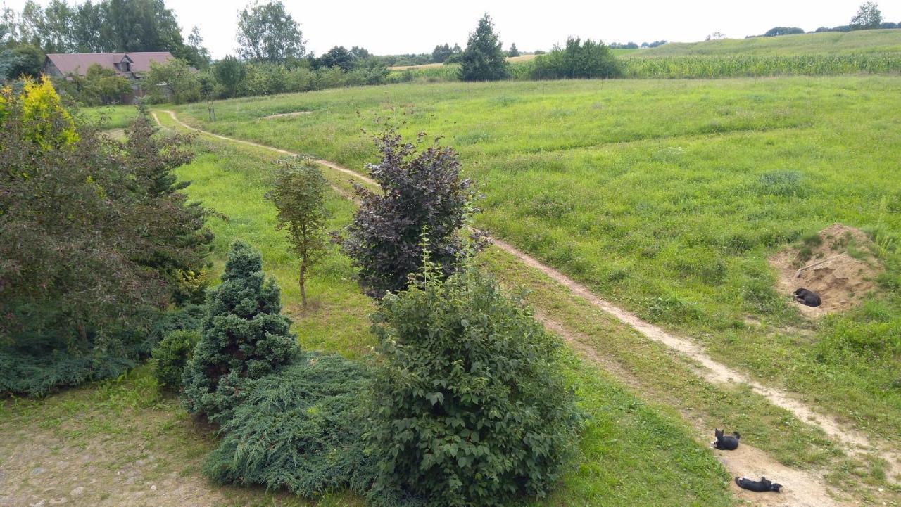 Chata Dziadka Ignacego Augustów Exterior foto