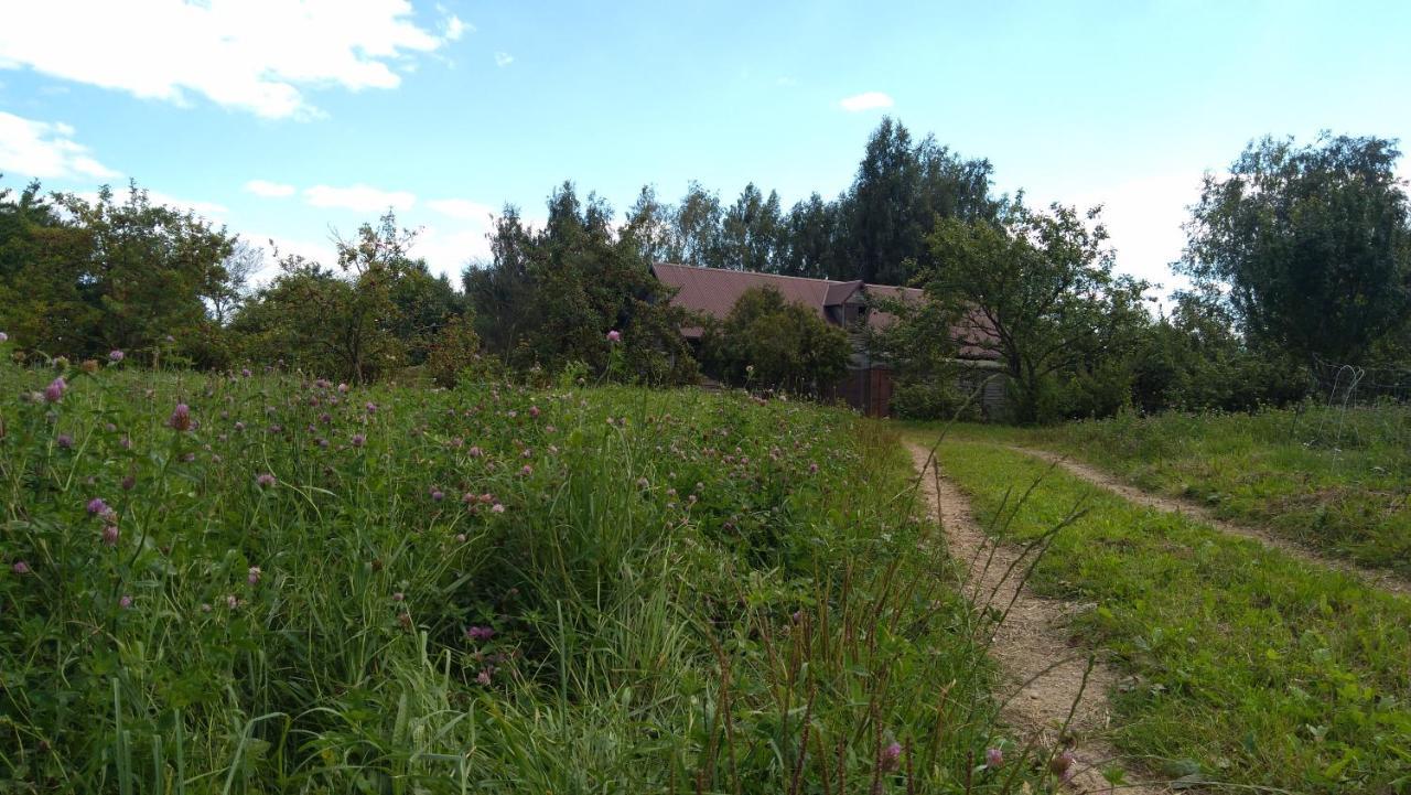 Chata Dziadka Ignacego Augustów Exterior foto